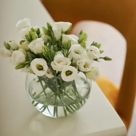 Hotel Trastevere | Esperienze Roma